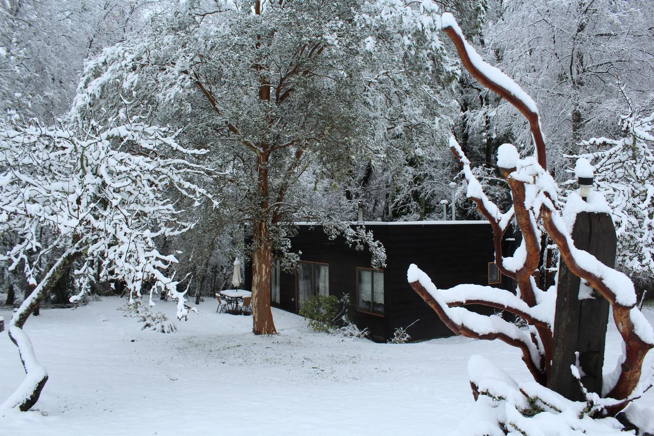 Cabanas Am Berg プコン エクステリア 写真